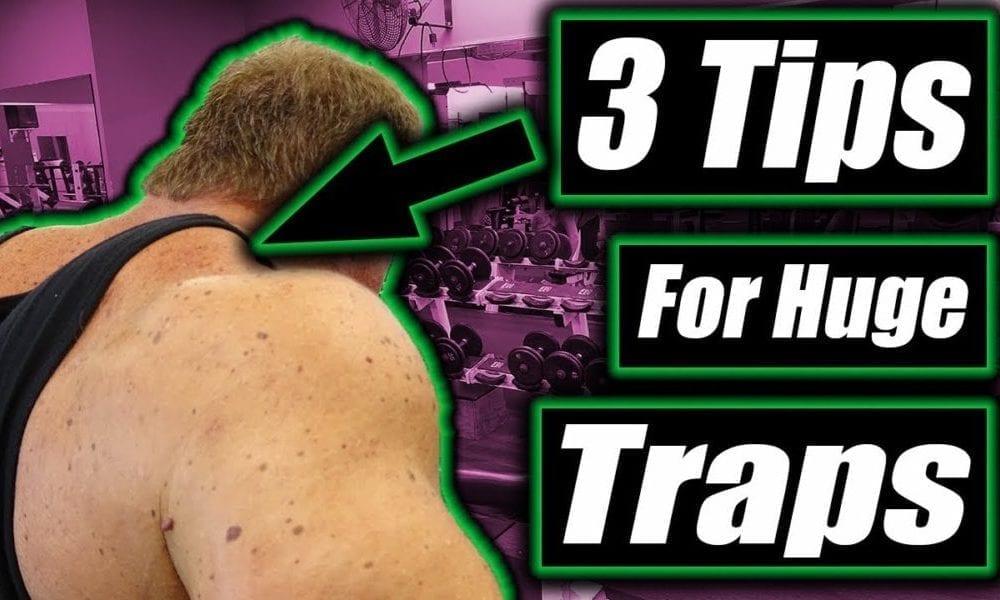 3 tips to get Huge Monster Traps