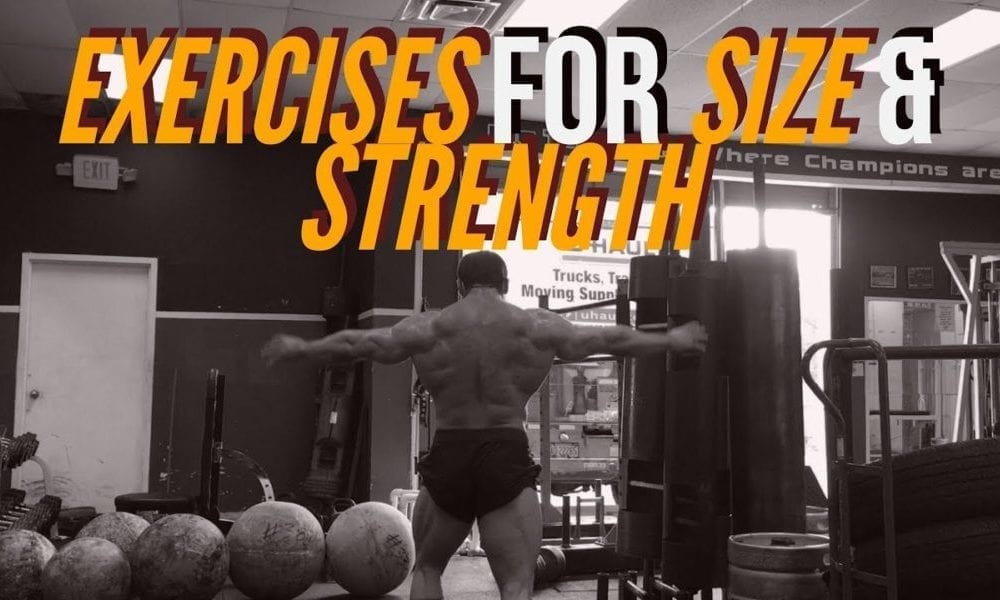 FIND THE PERFECT EXERCISES FOR SIZE & STRENGTH